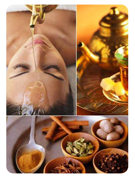 Ayurveda Journey